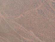 English Teak Brown