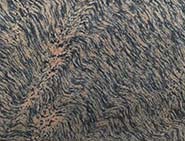 Tiger Skin