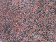 Mapple Red