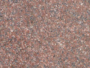Rajshree Red