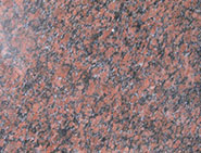 Tumkur Purperi Red