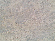 Kashmir White