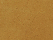Jaisalmer Yellow
