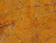 Rainforest Brown