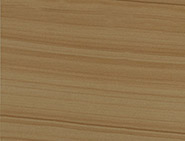 Desert Teak