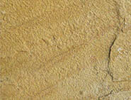Lalitpur Yellow