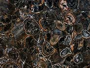 Black Petrified Wood Full