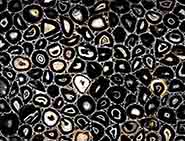 Cat Eye black