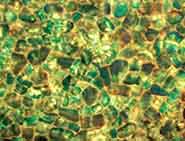 Emerald Fluorite