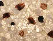 Eruption Quartz