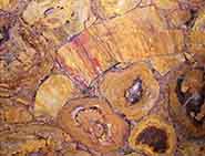 Yellow Petirified
