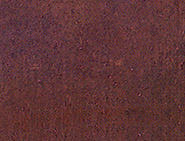 Akbarpur Red